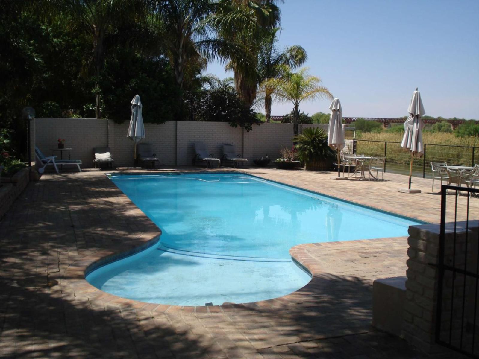 Africa River Lodge Upington Northern Cape South Africa Palm Tree, Plant, Nature, Wood, Swimming Pool
