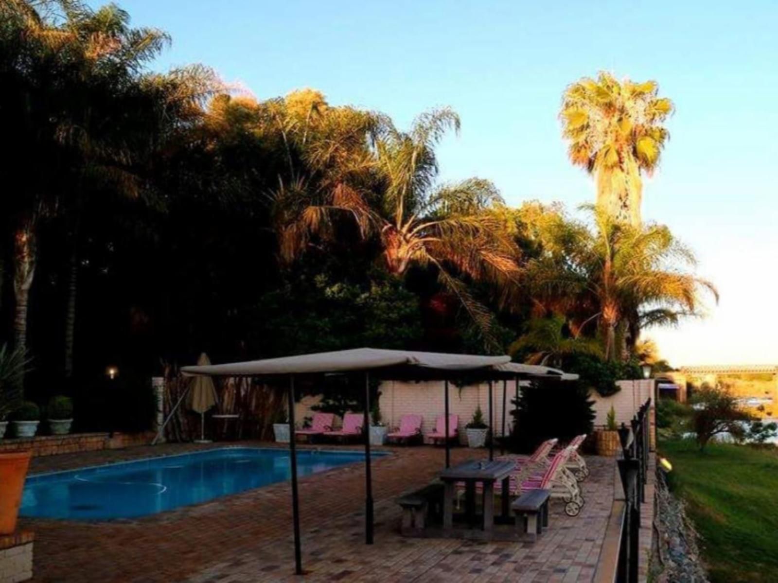 Africa River Lodge Upington Northern Cape South Africa Palm Tree, Plant, Nature, Wood, Garden, Swimming Pool