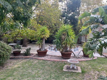 Guesthouse Summerlight Westridge Somerset West Somerset West Western Cape South Africa Palm Tree, Plant, Nature, Wood, Garden