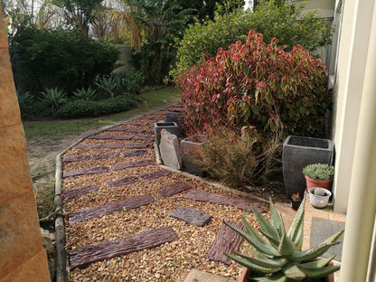 Guesthouse Summerlight Westridge Somerset West Somerset West Western Cape South Africa Palm Tree, Plant, Nature, Wood, Garden