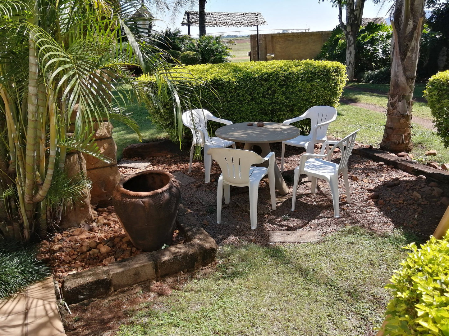 Guinea Feather Country Lodge Groblersdal Mpumalanga South Africa Palm Tree, Plant, Nature, Wood, Garden