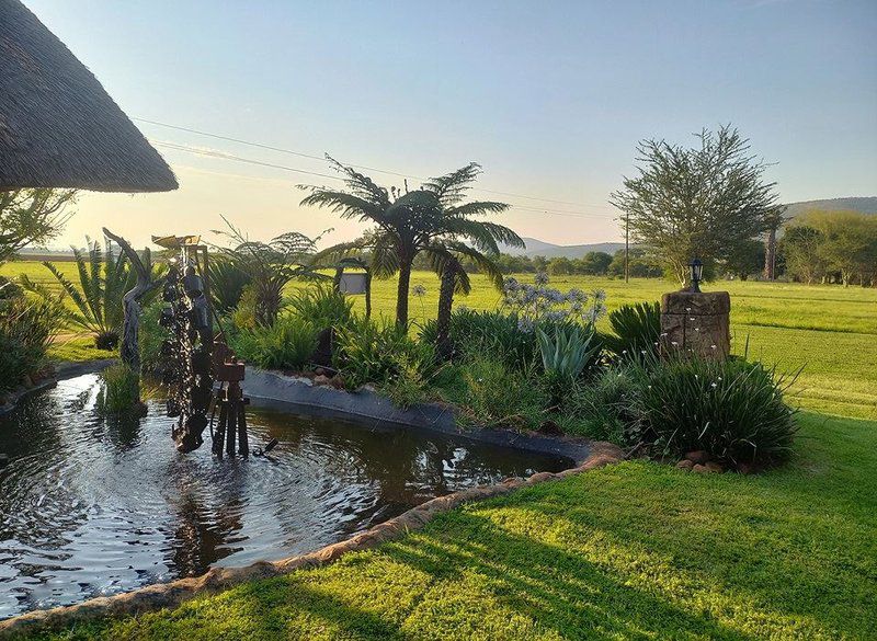Guinea Feather Country Lodge Groblersdal Mpumalanga South Africa Palm Tree, Plant, Nature, Wood, Garden, Swimming Pool