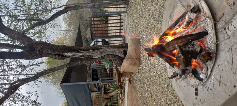 Guinea Fowl Cabanas Marloth Park Mpumalanga South Africa Fire, Nature, Fireplace