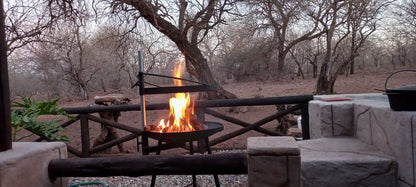 Guinea Fowl Cabanas Marloth Park Mpumalanga South Africa Unsaturated, Fire, Nature