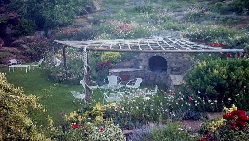 Guinea Fowl Guest House Colesberg Northern Cape South Africa Garden, Nature, Plant