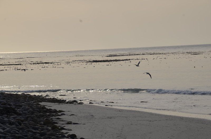 Guinea Fowl House B And B Kommetjie Cape Town Western Cape South Africa Unsaturated, Beach, Nature, Sand, Ocean, Waters