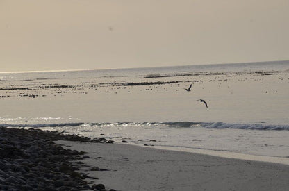 Guinea Fowl House B And B Kommetjie Cape Town Western Cape South Africa Unsaturated, Beach, Nature, Sand, Ocean, Waters