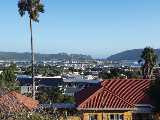 Guinea Fowl Lodge Knysna Heights Knysna Western Cape South Africa Palm Tree, Plant, Nature, Wood