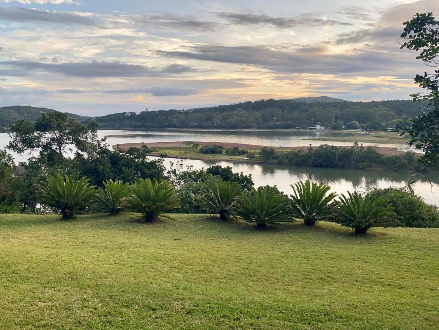 Gulu Private Resort Winterstrand East London Eastern Cape South Africa Palm Tree, Plant, Nature, Wood, River, Waters