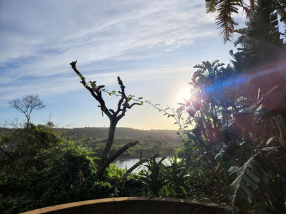 Gulu Private Resort Winterstrand East London Eastern Cape South Africa Palm Tree, Plant, Nature, Wood