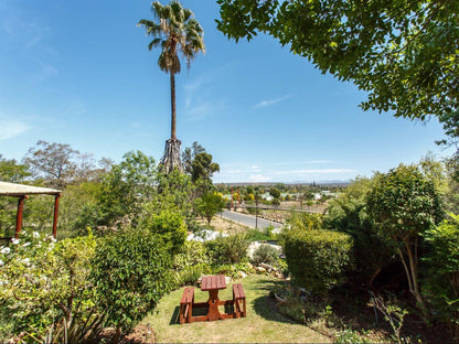 Gumtree Guest House, Palm Tree, Plant, Nature, Wood, Garden