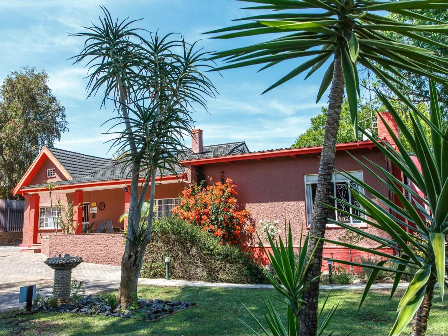 Gumtree Guest House, House, Building, Architecture, Palm Tree, Plant, Nature, Wood