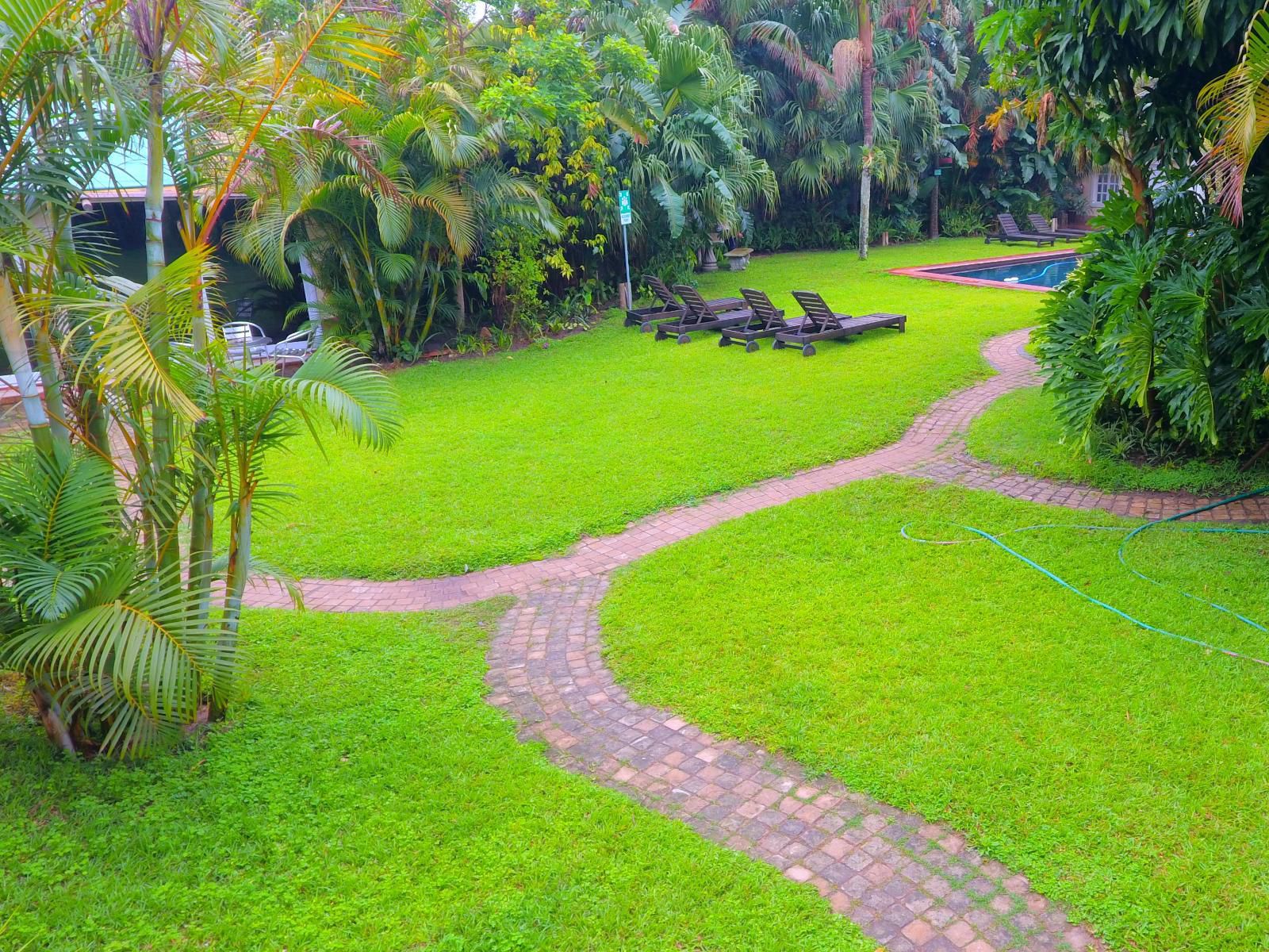 Gumtree Lodge Mount Edgecombe Durban Kwazulu Natal South Africa Palm Tree, Plant, Nature, Wood, Garden