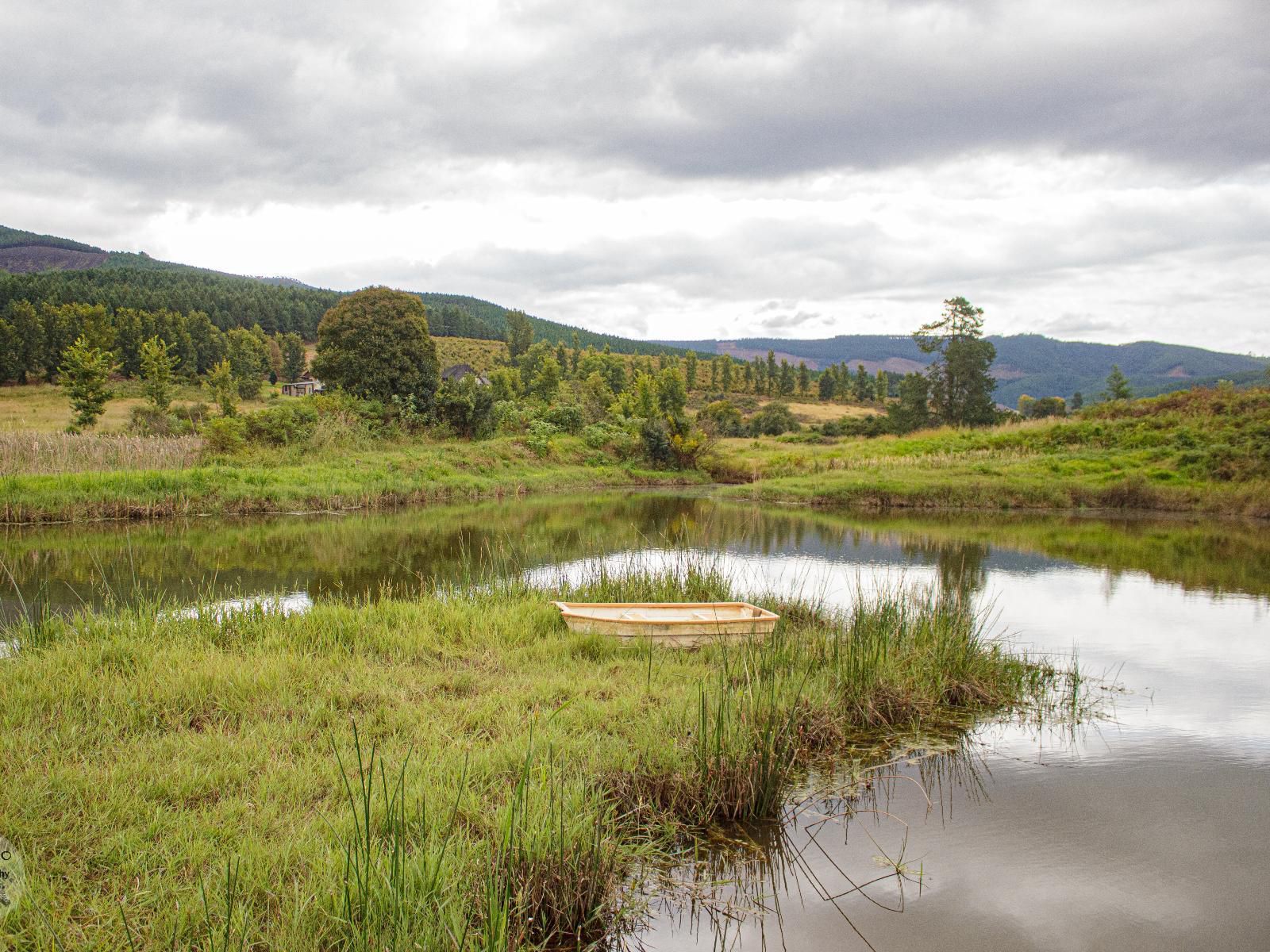 Gunyatoo Trout Farm And Guest Lodge Sabie Mpumalanga South Africa River, Nature, Waters, Tree, Plant, Wood, Highland