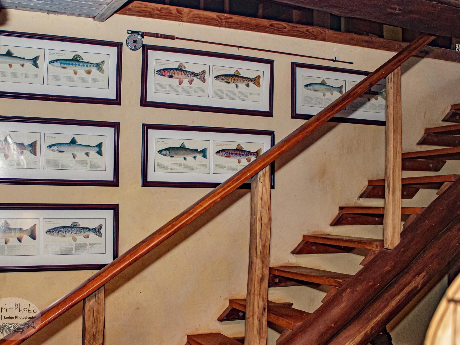 Gunyatoo Trout Farm And Guest Lodge Sabie Mpumalanga South Africa Stairs, Architecture