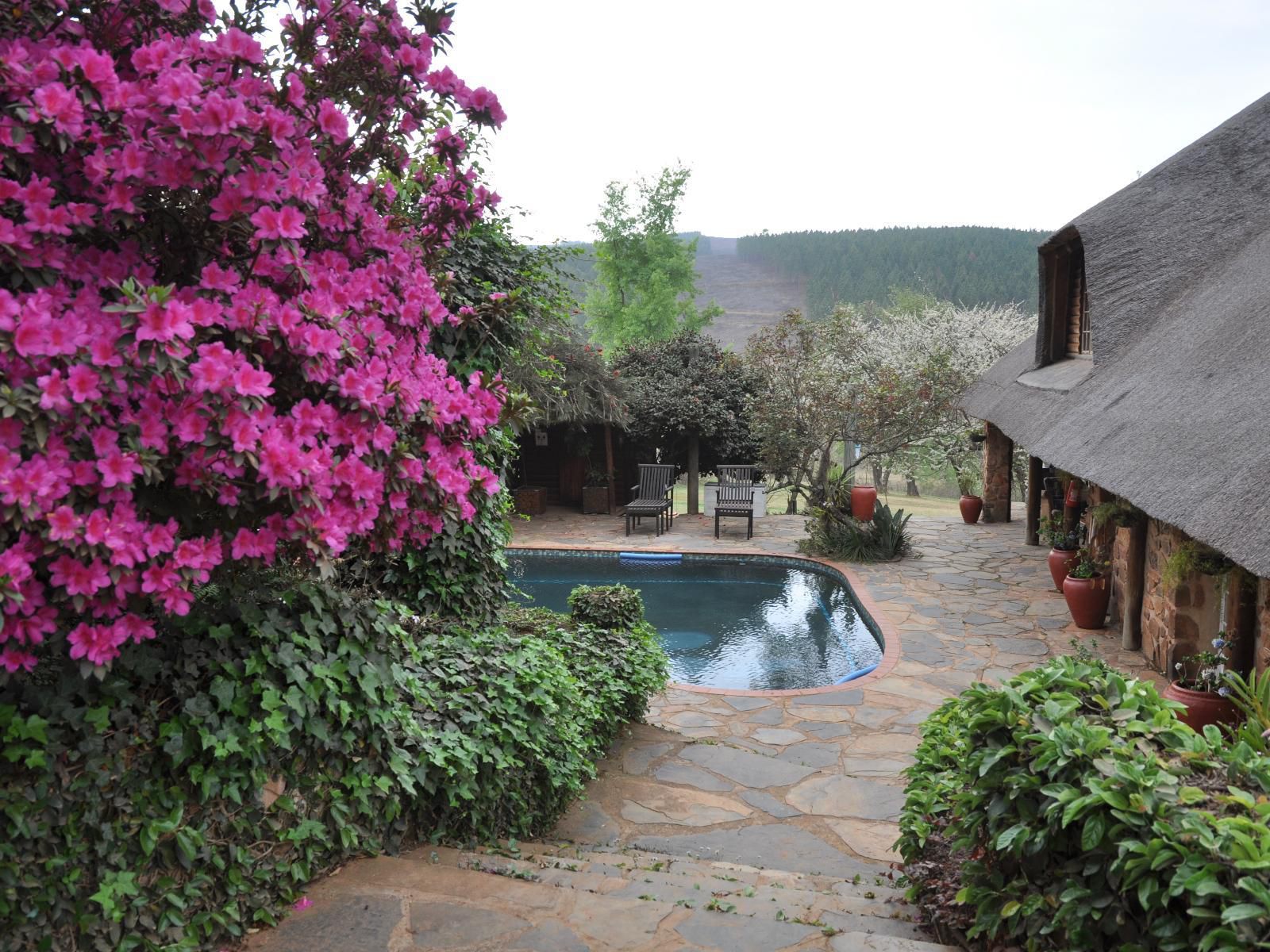 Gunyatoo Trout Farm And Guest Lodge Sabie Mpumalanga South Africa Plant, Nature, Garden