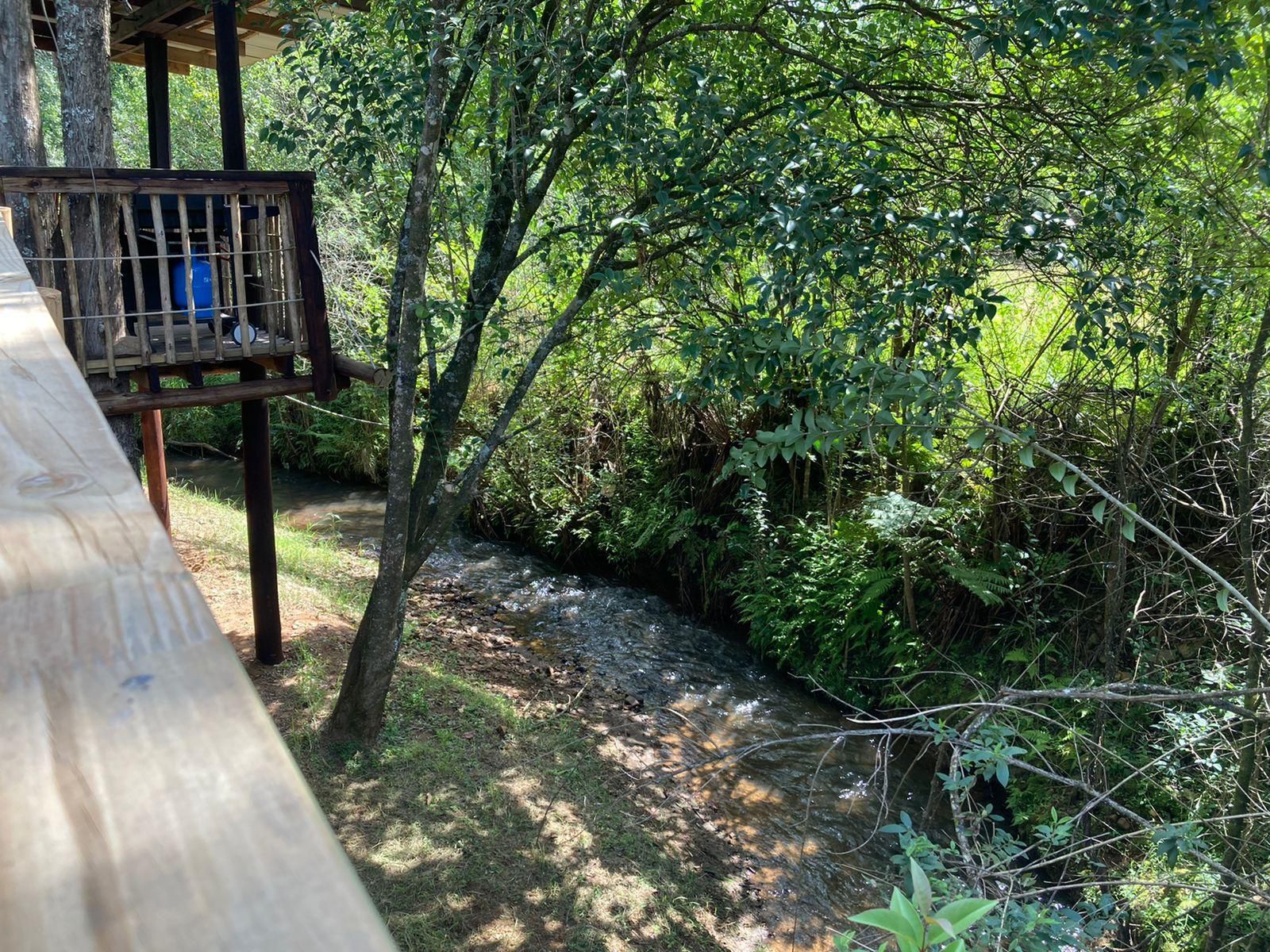 Gunyatoo Trout Farm And Guest Lodge Sabie Mpumalanga South Africa Bridge, Architecture, River, Nature, Waters, Tree, Plant, Wood