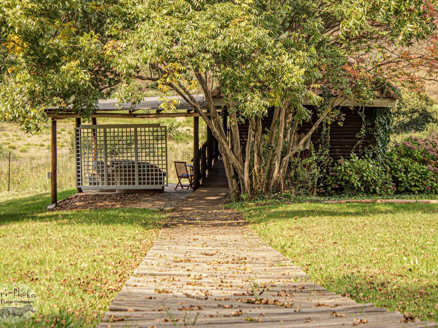 Gunyatoo Trout Farm And Guest Lodge Sabie Mpumalanga South Africa Plant, Nature, Tree, Wood