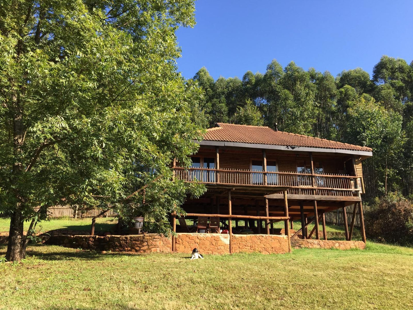 Gunyatoo Trout Farm And Guest Lodge Sabie Mpumalanga South Africa Building, Architecture, Cabin