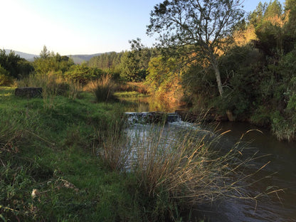 Gunyatoo Trout Farm And Guest Lodge Sabie Mpumalanga South Africa River, Nature, Waters, Tree, Plant, Wood