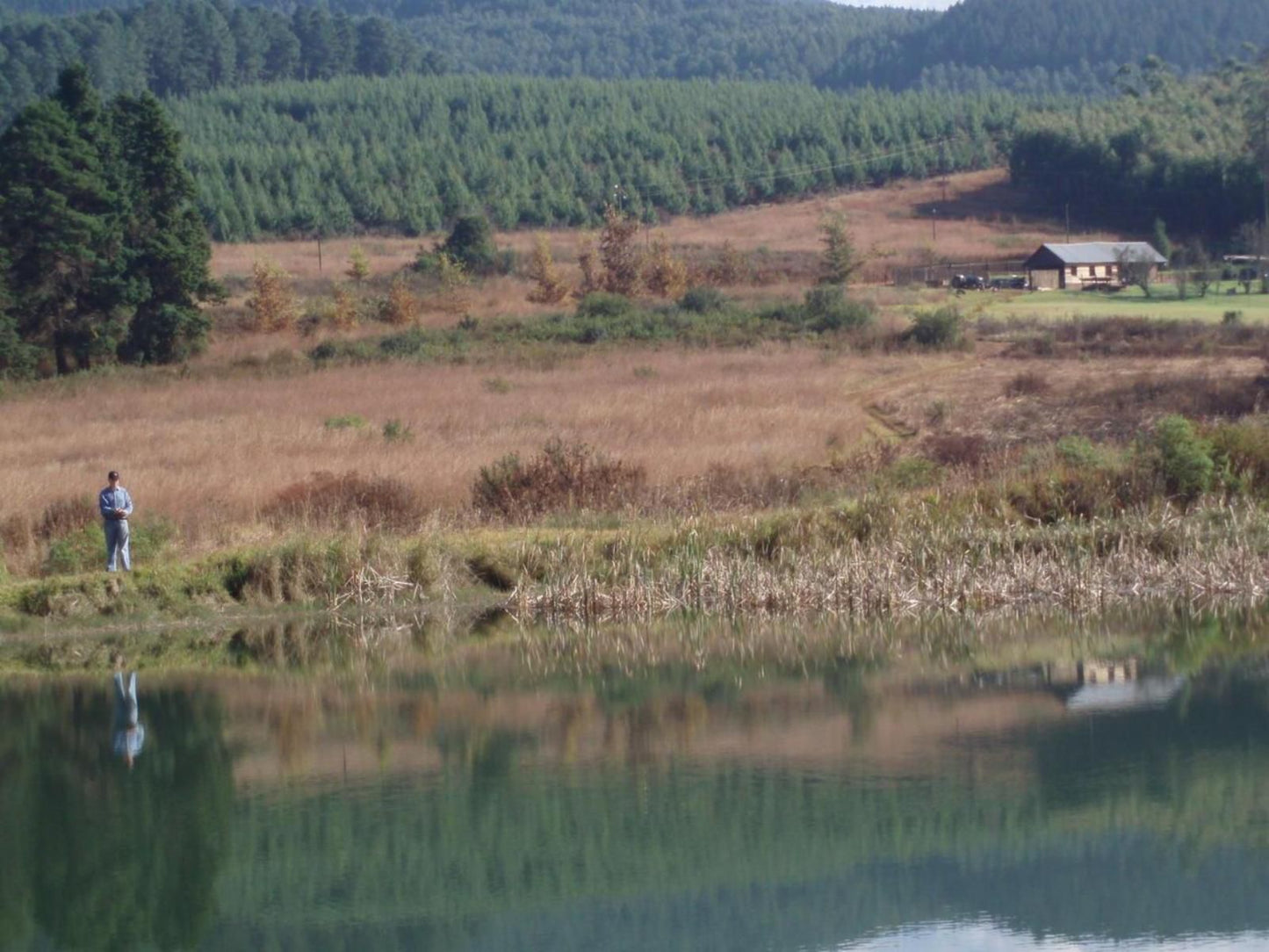 Gunyatoo Trout Farm And Guest Lodge Sabie Mpumalanga South Africa Lake, Nature, Waters, River, Tree, Plant, Wood, Highland