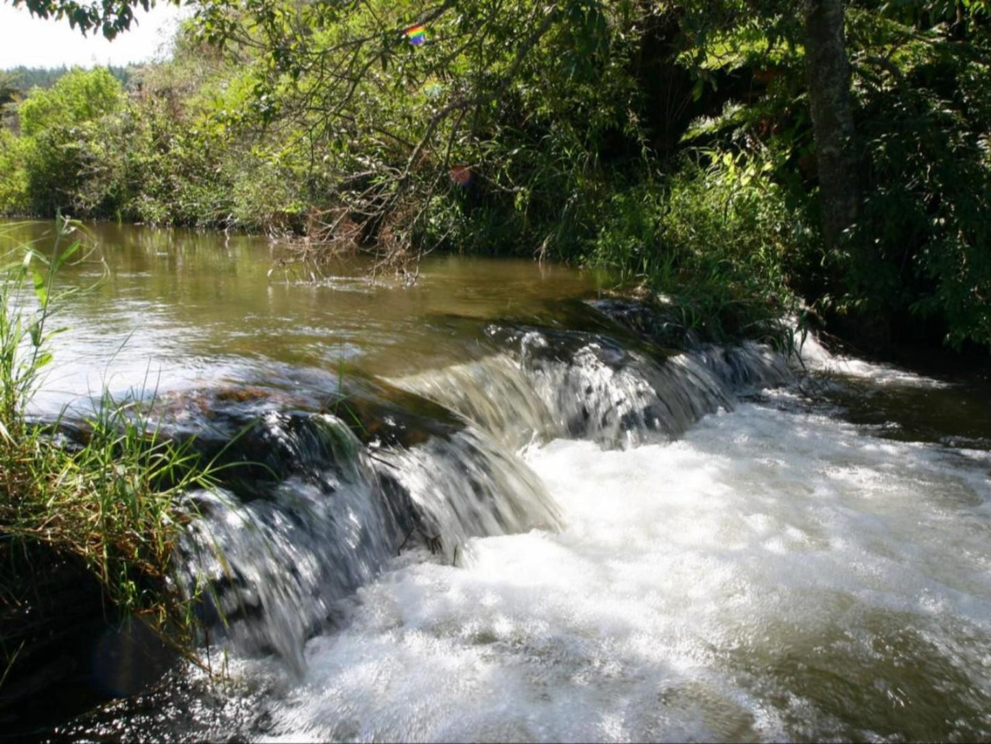 Gunyatoo Trout Farm And Guest Lodge Sabie Mpumalanga South Africa River, Nature, Waters, Tree, Plant, Wood, Waterfall