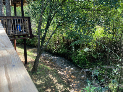 The ECO Love Shack @ Gunyatoo Trout Farm & Guest Lodge