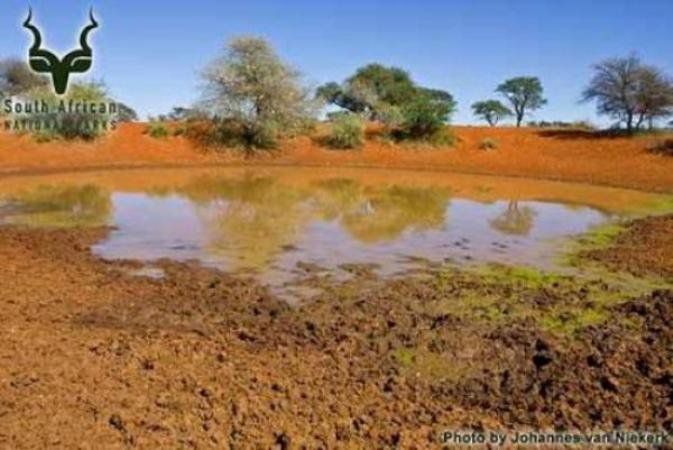 Haak En Steek Rest Camp Mokala National Park Sanparks Mokala National Park Northern Cape South Africa Complementary Colors, Lowland, Nature