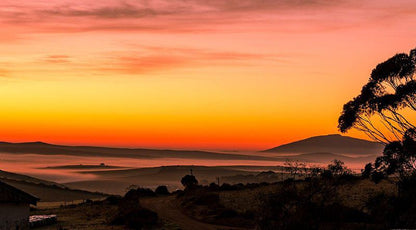 Haarwegskloof Renosterveld Reserve Bredasdorp Western Cape South Africa Colorful, Beach, Nature, Sand, Sky, Sunset