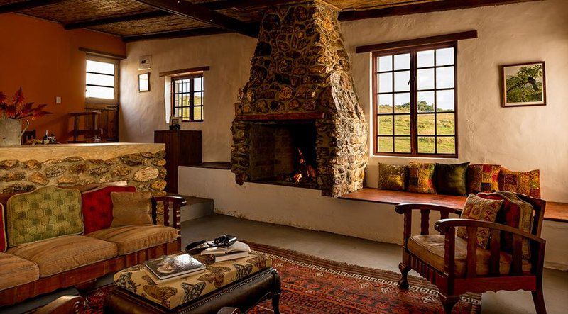 Haarwegskloof Renosterveld Reserve Bredasdorp Western Cape South Africa Colorful, Fireplace, Living Room