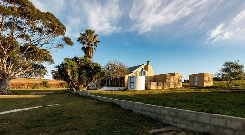 Haarwegskloof Renosterveld Reserve Bredasdorp Western Cape South Africa Complementary Colors, Building, Architecture, House, Palm Tree, Plant, Nature, Wood