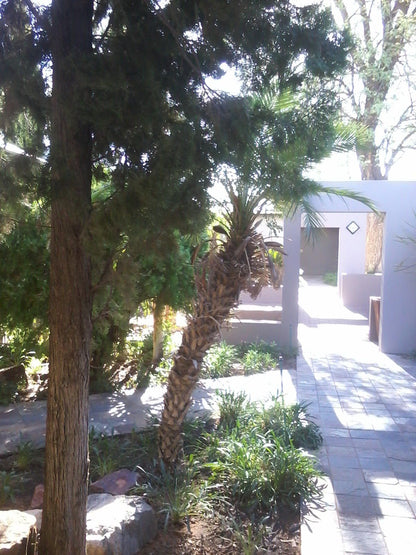 Habitat Guest Village Oosterville Upington Northern Cape South Africa Palm Tree, Plant, Nature, Wood, Garden