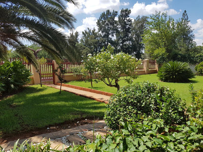 Hadida Guest House Kimberley Northern Cape South Africa Palm Tree, Plant, Nature, Wood, Garden, Swimming Pool