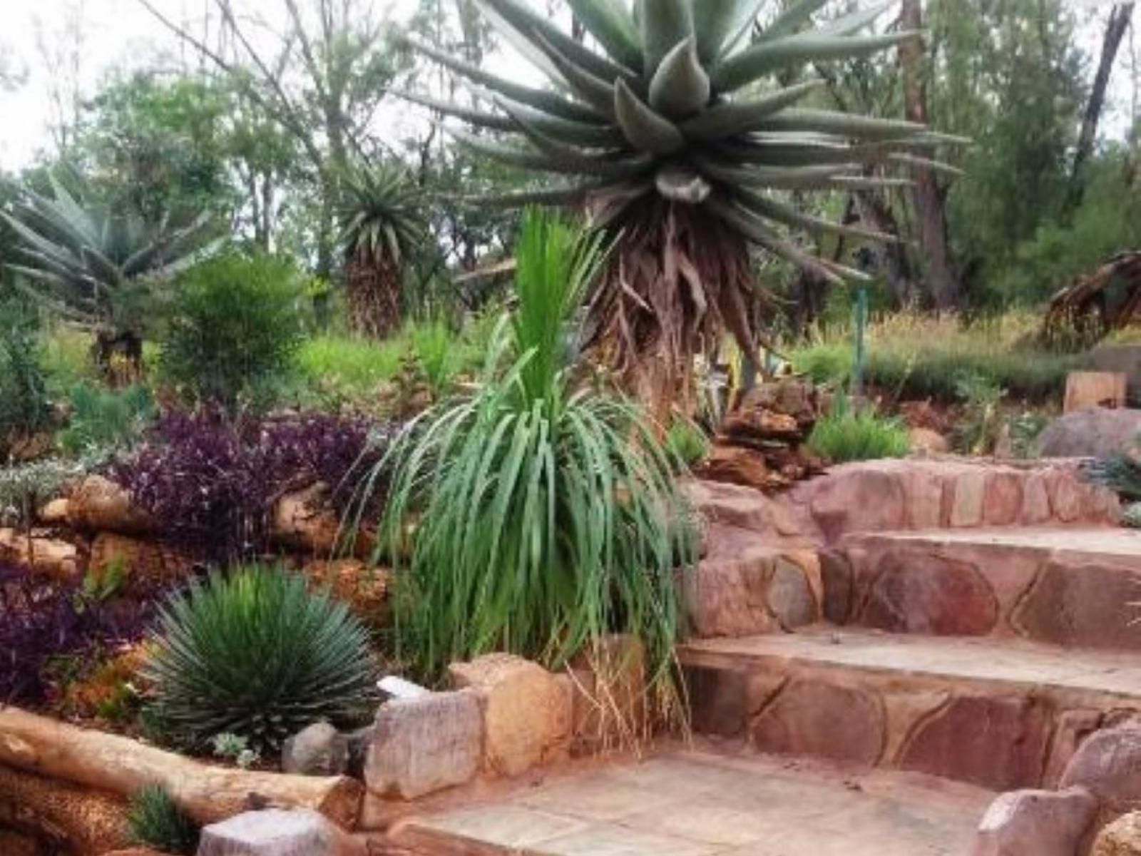 Hadida Guesthouse Swartruggens North West Province South Africa Plant, Nature, Garden