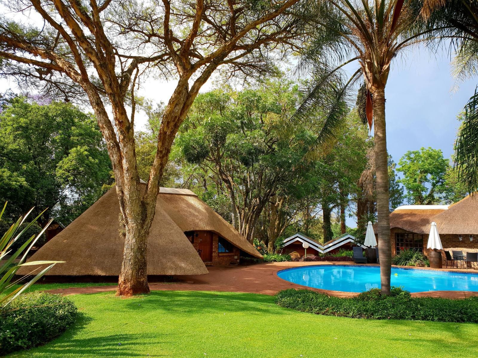 Haggards On Hilldrop, Palm Tree, Plant, Nature, Wood, Swimming Pool