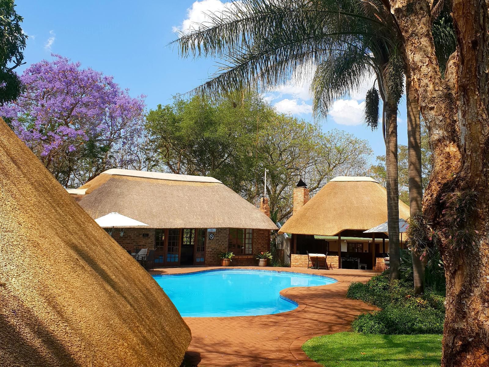 Haggards On Hilldrop, Palm Tree, Plant, Nature, Wood, Swimming Pool