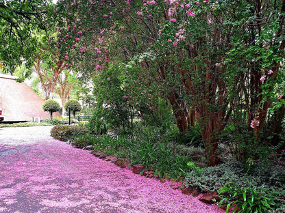 Haggards On Hilldrop, Blossom, Plant, Nature, Garden