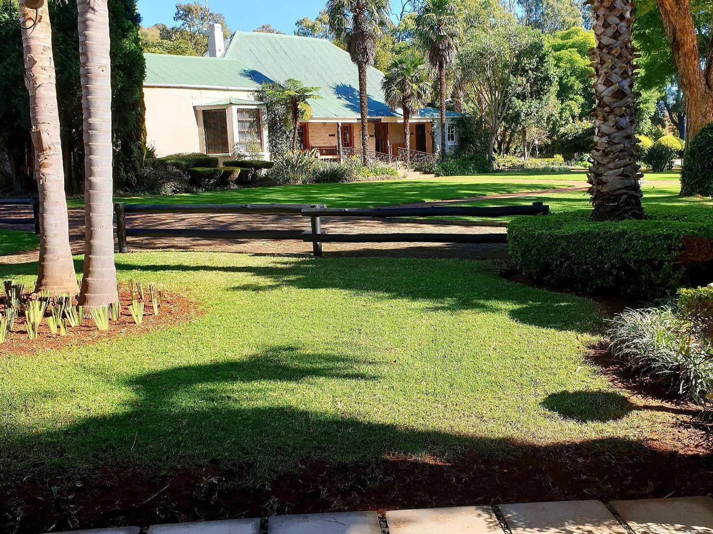 Haggards On Hilldrop, King Room, Palm Tree, Plant, Nature, Wood, Garden