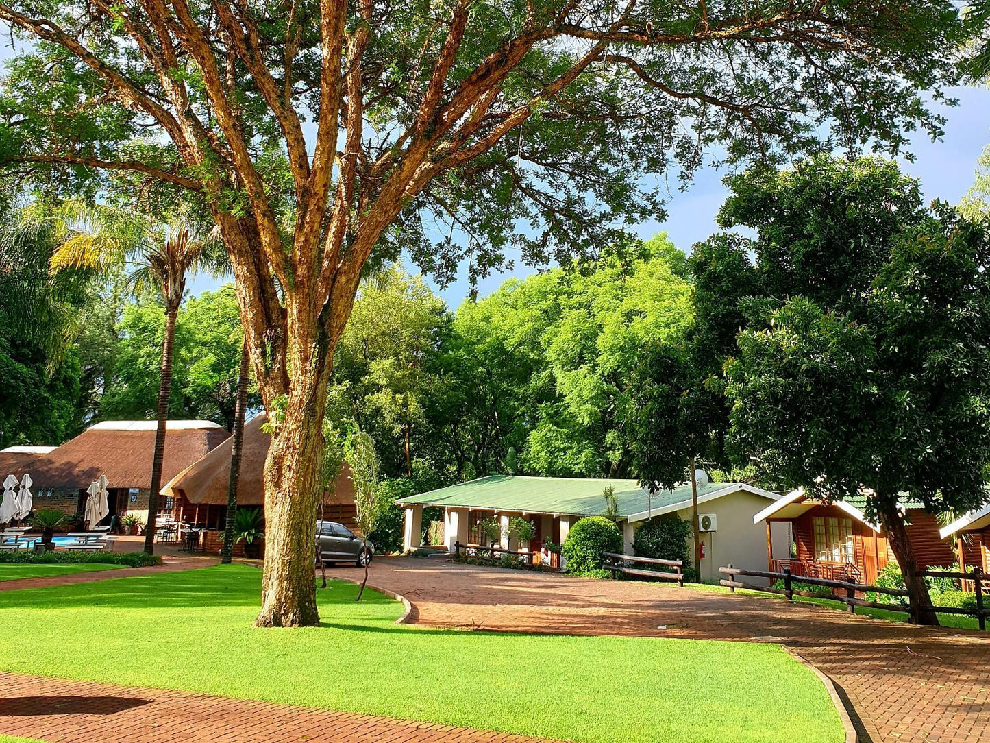 Haggards On Hilldrop, Thatch Unit, Palm Tree, Plant, Nature, Wood, Pavilion, Architecture