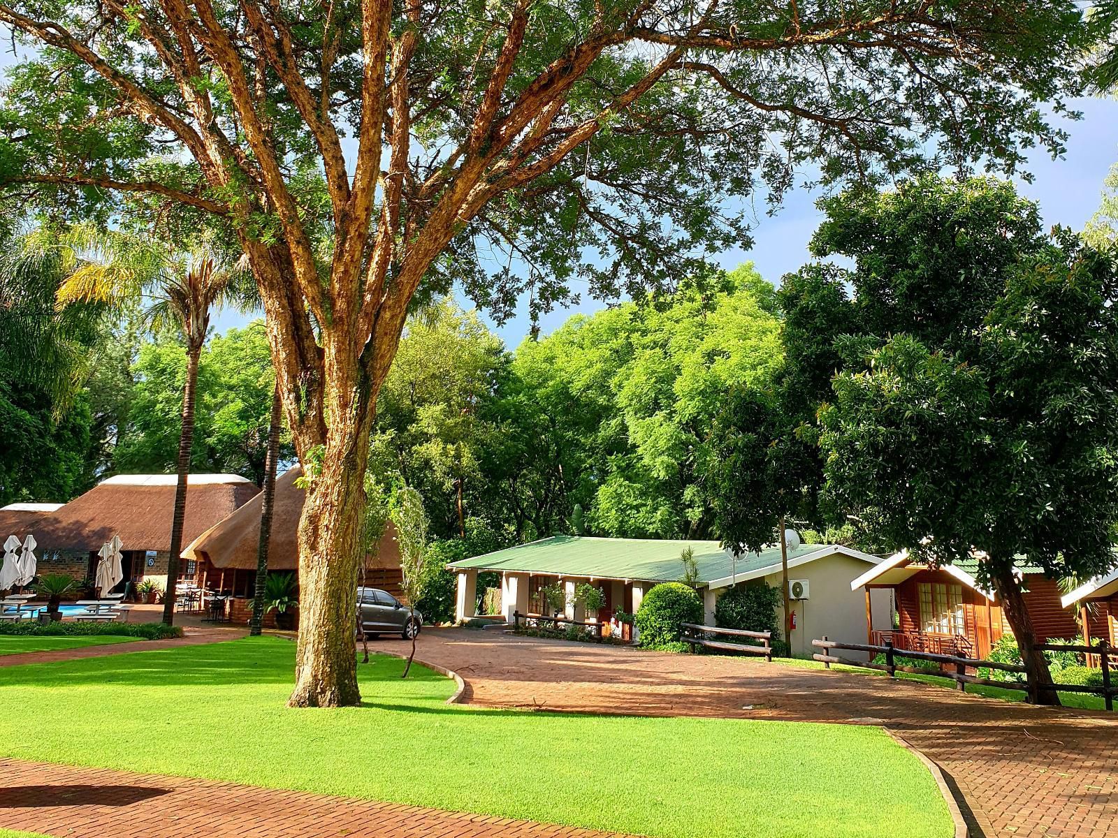 Haggards On Hilldrop, Thatch Unit, Palm Tree, Plant, Nature, Wood, Pavilion, Architecture