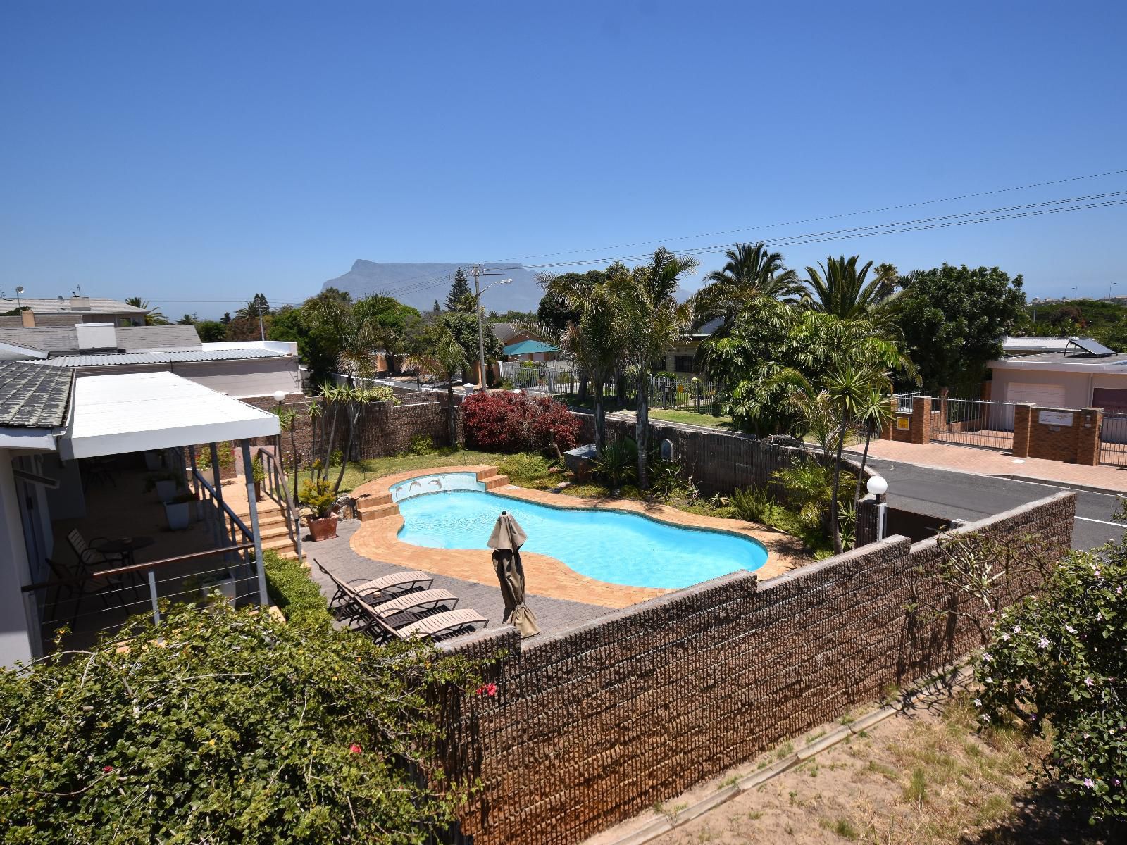 Hajo S Lodge Milnerton Cape Town Western Cape South Africa Complementary Colors, Palm Tree, Plant, Nature, Wood, Swimming Pool