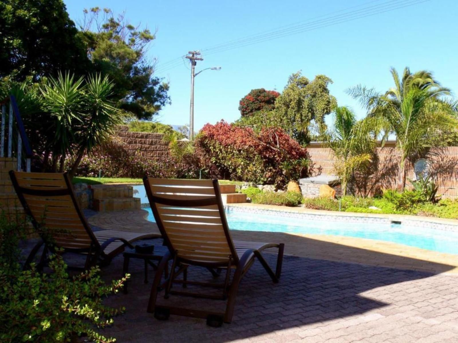 Hajo S Lodge Milnerton Cape Town Western Cape South Africa Complementary Colors, Palm Tree, Plant, Nature, Wood, Garden, Swimming Pool