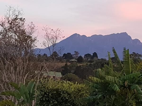 Hakuna Matata Wilderness Western Cape South Africa Mountain, Nature, Palm Tree, Plant, Wood, Sky, Volcano, Framing, Sunset