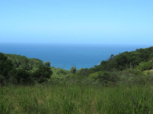 Hakuna Matata Wilderness Western Cape South Africa Complementary Colors, Colorful, Beach, Nature, Sand, Cliff