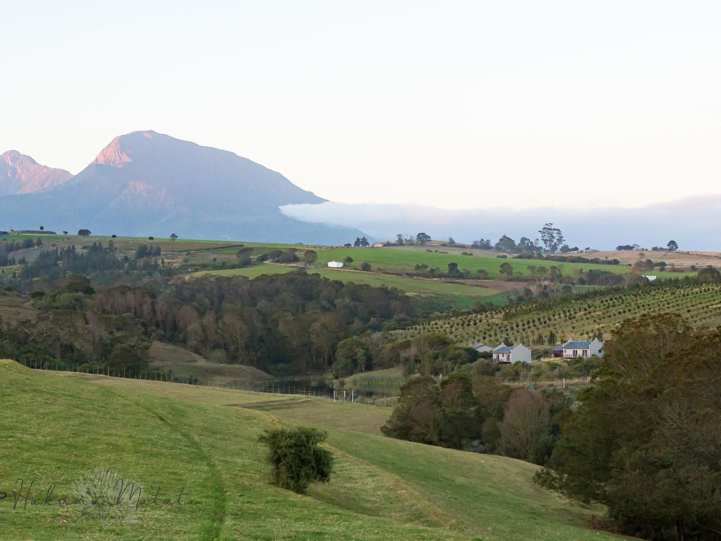 Hakuna Matata Beach House Outeniqua Strand Great Brak River Western Cape South Africa Mountain, Nature, Highland