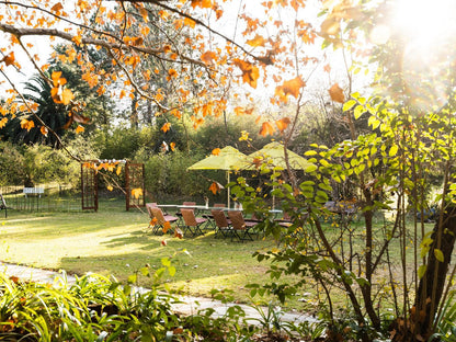 Hakunamatata Guest Lodge And Health Resort Muldersdrift Gauteng South Africa Plant, Nature, Autumn, Garden