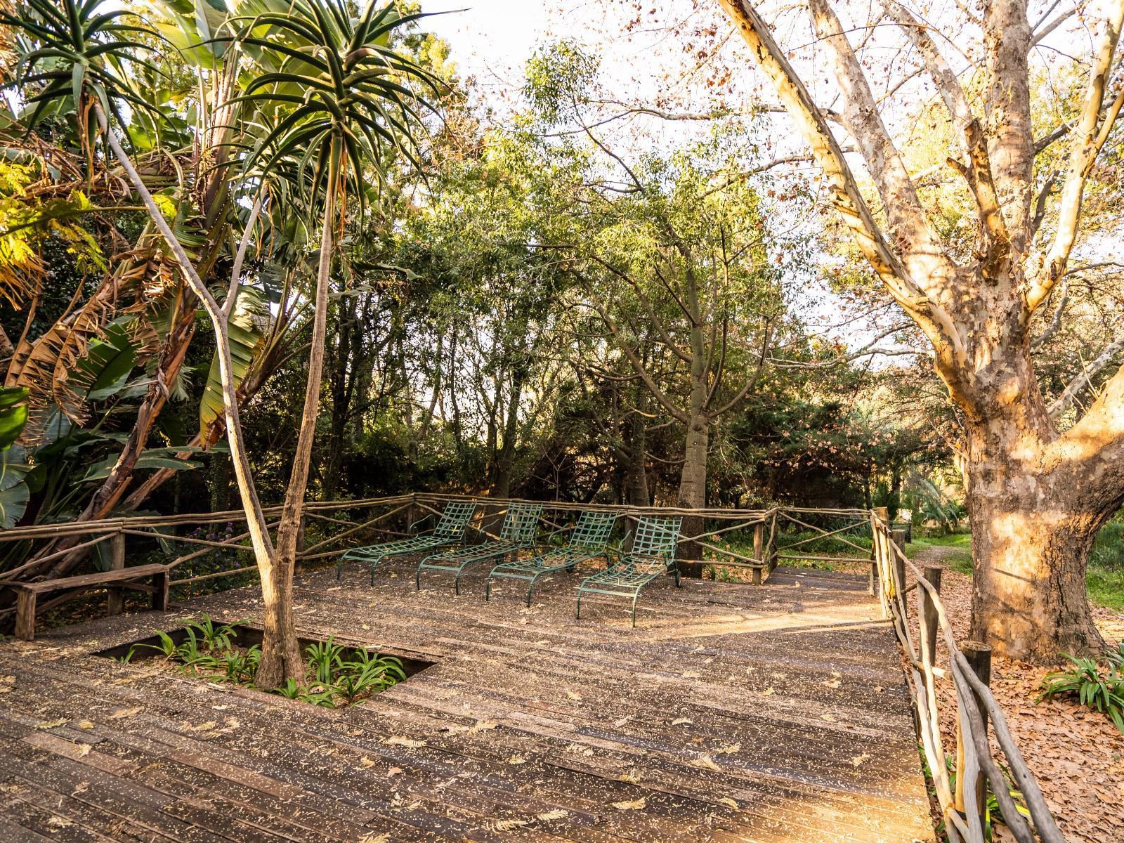 Hakunamatata Guest Lodge And Health Resort Muldersdrift Gauteng South Africa Plant, Nature, Tree, Wood, Garden