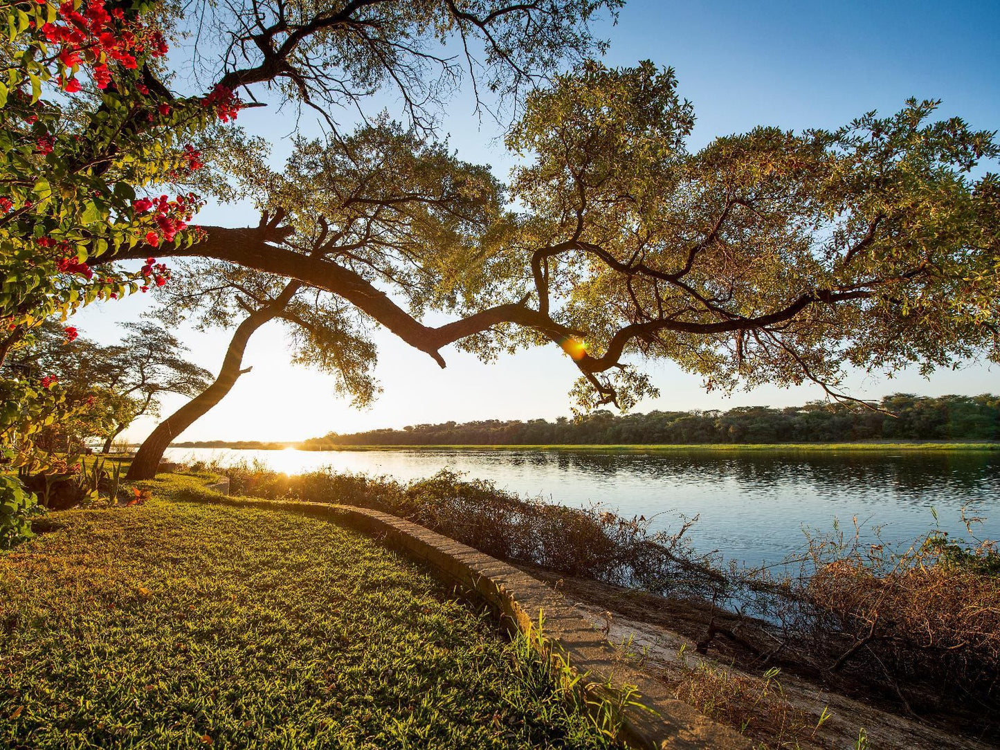 Hakusembe River Lodge, Gondwana Collection Namibia, River, Nature, Waters, Tree, Plant, Wood