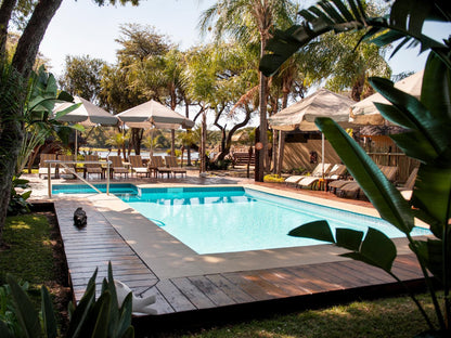 Hakusembe River Lodge, Gondwana Collection Namibia, Palm Tree, Plant, Nature, Wood, Swimming Pool