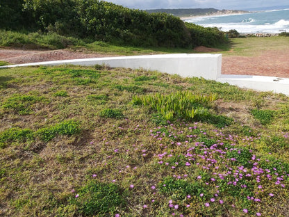 Halcyon Still Bay West Stilbaai Western Cape South Africa Beach, Nature, Sand, Plant, Cemetery, Religion, Grave